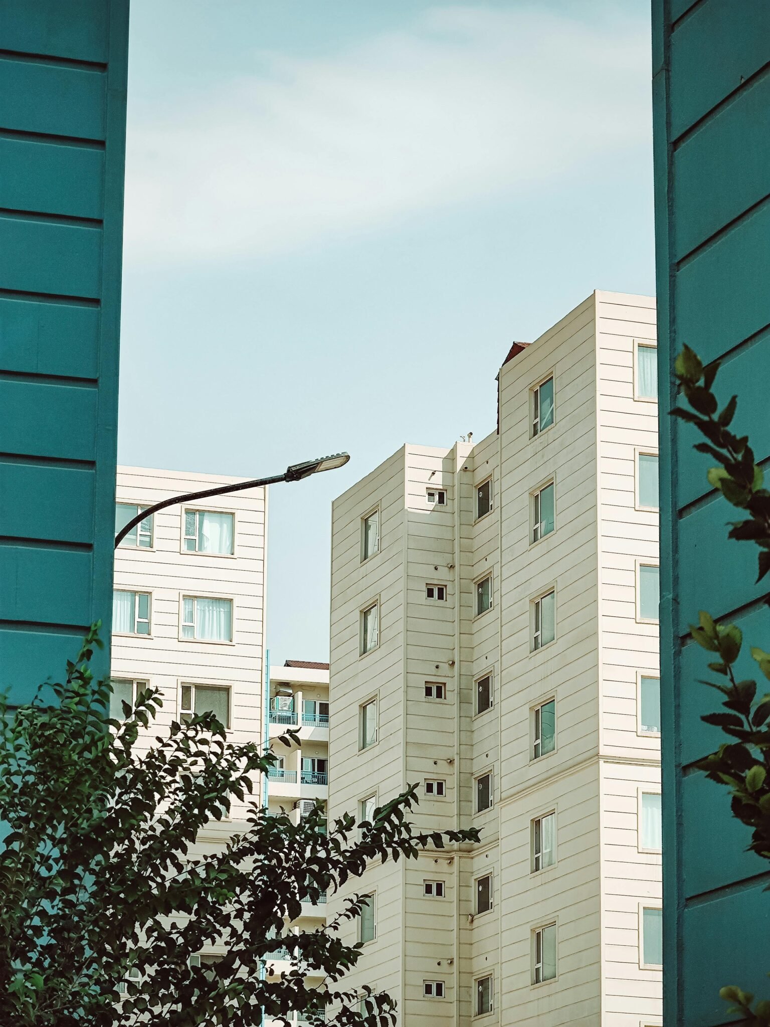 Contemporary apartment buildings framed by trees under a clear blue sky.